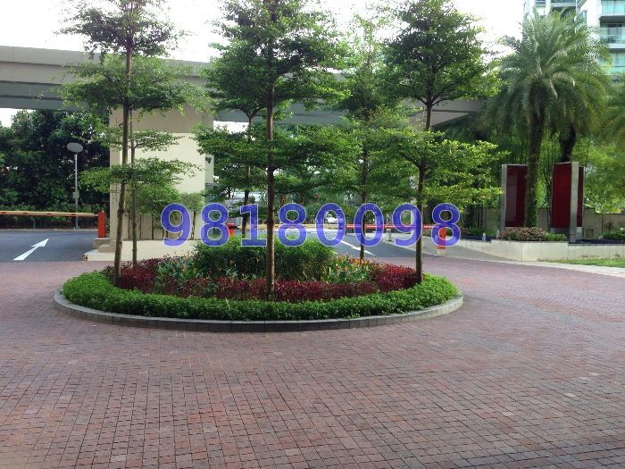 The Infiniti (D5), Condominium #38415812